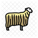 Teeswater Sheep  Icon