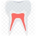 Teeth Care Health Icon
