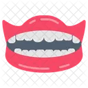 Teeth Dental Study Dental Structure Icon