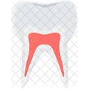 Teeth Dentist Tooth Icon