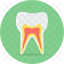 Teeth Dental Dentist Icon