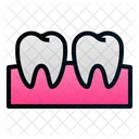 Teeth Gum Molar Icon