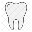 Tooth Dental Stomatology Icon