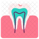 Teeth Tooth Gum Icon
