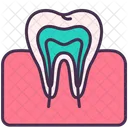 Teeth Tooth Gum Icon