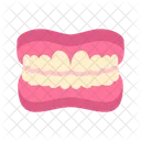 Teeth Gums Tooth Icon