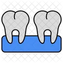 Teeth Dentology Stomatology Icon