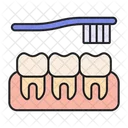 Teeth Brushing Toothbrush Icon