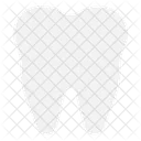 Human Body Teeth Tooth Icon
