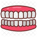 Teeth Dental Oral Hygiene Icon