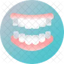 Teeth and Gum  Icon