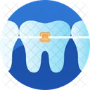 Dental Braces Orthodontic Icon