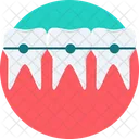 Teeth Braces Teeth Care Icon