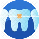 Dental Braces Orthodontic Icon