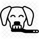 Teeth Brush  Icon