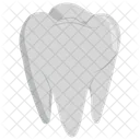 Teeth Human Teeth Dentistry Icon