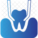 Teeth in gums thin  Icon
