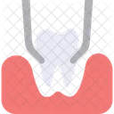Teeth in gums thin  Icon
