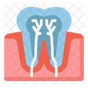 Teeth nerve  Icon