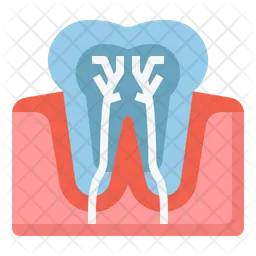 Teeth nerve  Icon