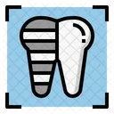 Teeth xray  Icon