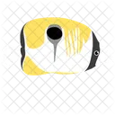Teadrop Falterfisch Meerestier Tier Symbol