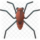 Teichlaufer Stinkwanze Kai Symbol