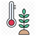 Temperatura del grano  Icono