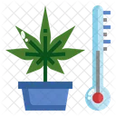 Temperature control  Symbol