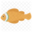 Tench Fish Chum Salmon Icon