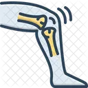 Tendon Bone Knee Icon
