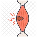 Tendon Injury Injury Disease Icon