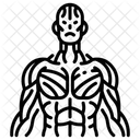 Muscle Tendon Icône