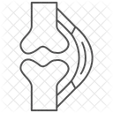 Tendons Thinline Icon Icon