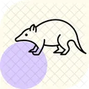 Tenrek Symbol