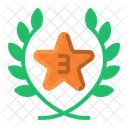 Tercera insignia de bronce  Icono