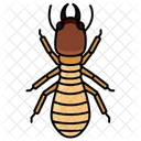 Insecto Insectos Entomologia Icono