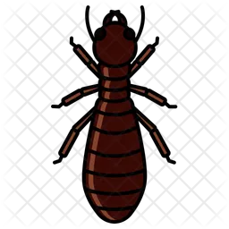 Termite  Icon