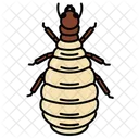 Insect Insects Entomology Icon