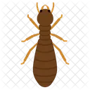 Insect Insects Entomology Icon
