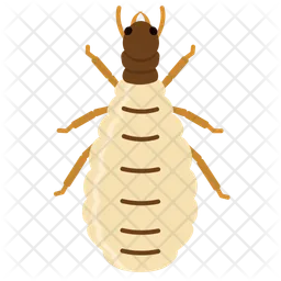 Termite  Icon