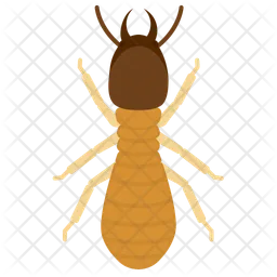 Termite  Icon