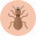 Termite Insect Pest Icon