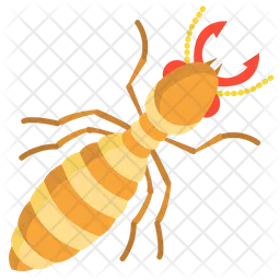 Termite  Icon