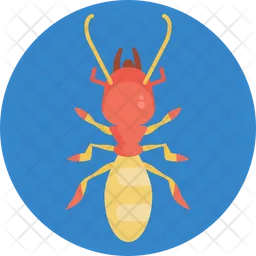 Termite  Icon