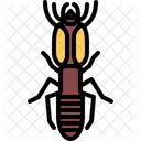 Termite Beetle Bug Icon