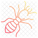Termite damage  Icon