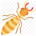 Termite  Icon