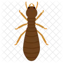 Insect Insects Entomology 아이콘