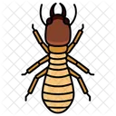 Insect Insects Entomology 아이콘